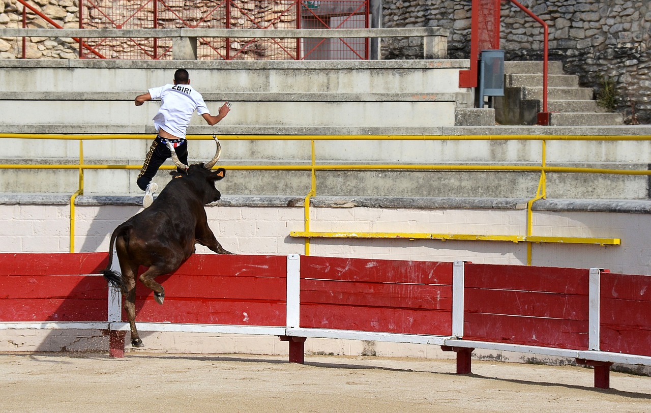 梅里诺：非常感谢香港；相信哲凯赖什很快就能帮助球队