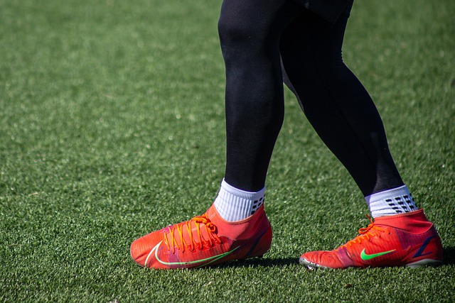 的领域为观 的领域为观