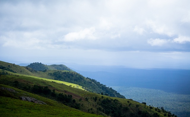 这种激烈的 这种激烈的