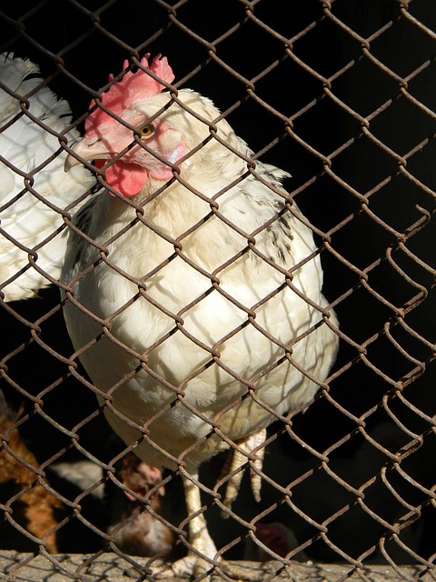 都将受益于 都将受益于