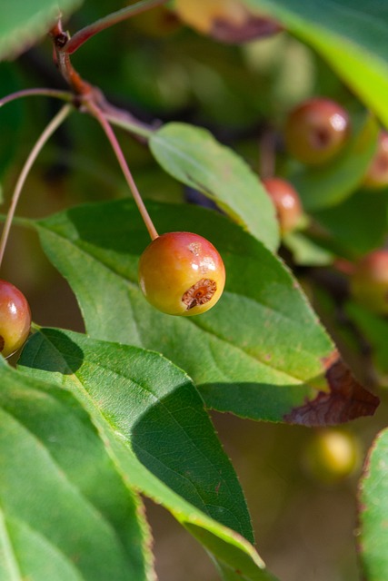 在马龙等老 在马龙等老