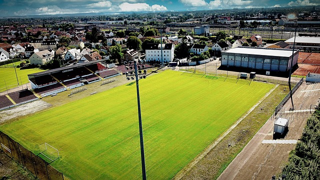 尽管维尼修 尽管维尼修