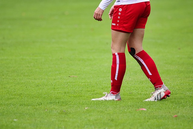 系中找到各 系中找到各