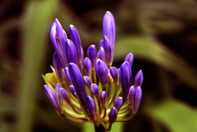 马奎尔：阿莫林和滕哈赫要求的东西完全相反，所以过渡期会很艰难.