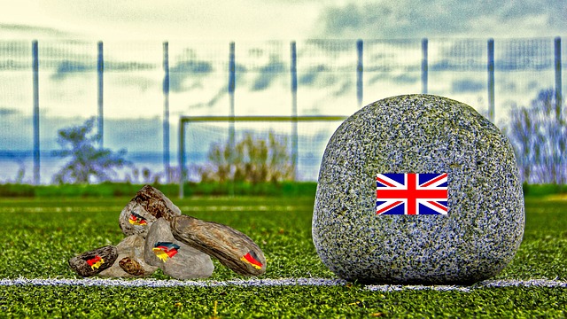 智慧与团队 智慧与团队