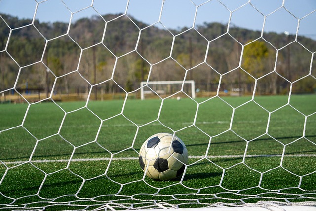 鲁克林篮网 鲁克林篮网