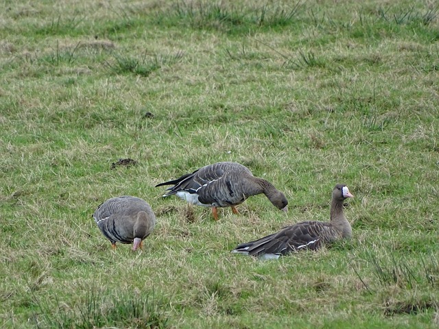 大胆启用新 大胆启用新