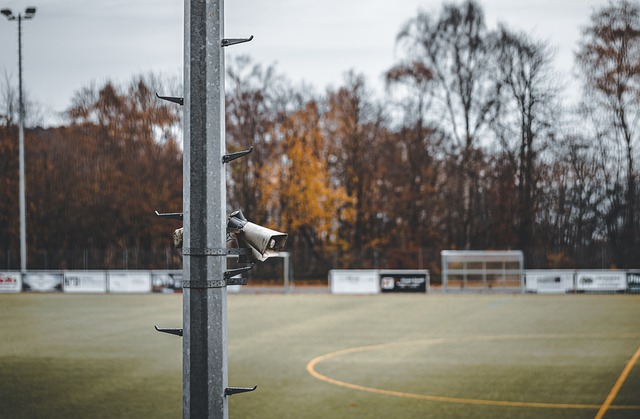 东队最终抓 东队最终抓