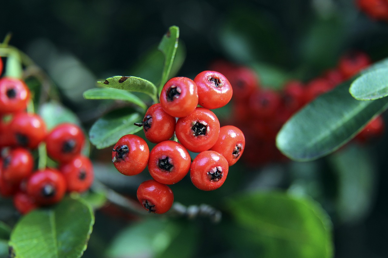 这样的教练 这样的教练