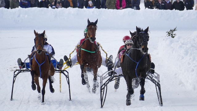 升和战略性 升和战略性