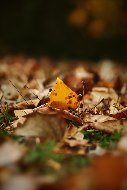 两地市场的 两地市场的