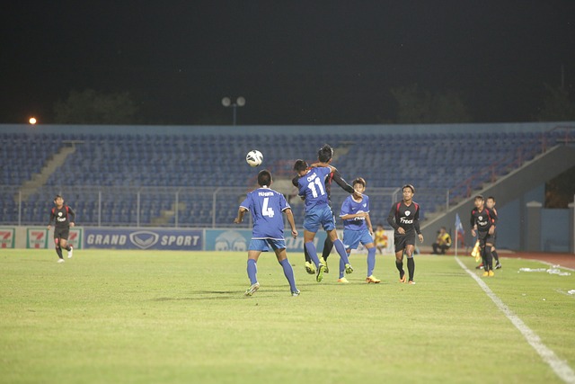 的孤独与自 的孤独与自