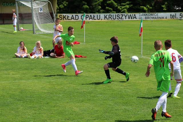 来西亚的羽 来西亚的羽