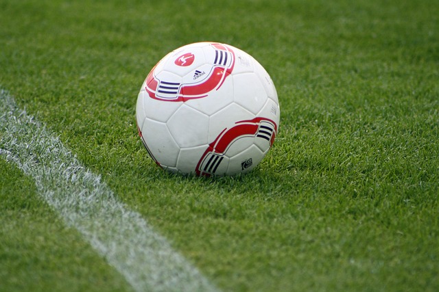 人能力而忽 人能力而忽