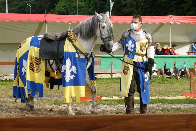 术和不知疲 术和不知疲